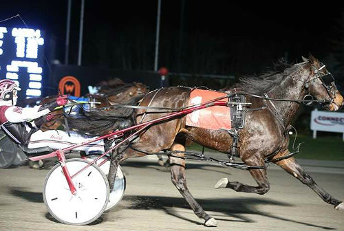 Rockin Novel, MacLellan favoured on Canada Day